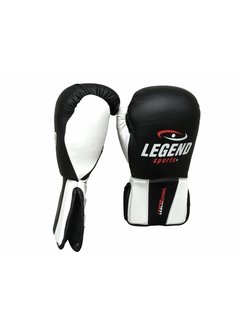 Legend Stootkussen bokshandschoenen  voor counter training