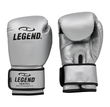 Legend bokshandschoenen  Zilver Protect en Power