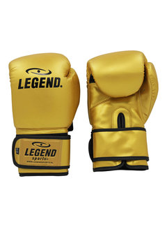 Legend bokshandschoenen  goud Protect en Power