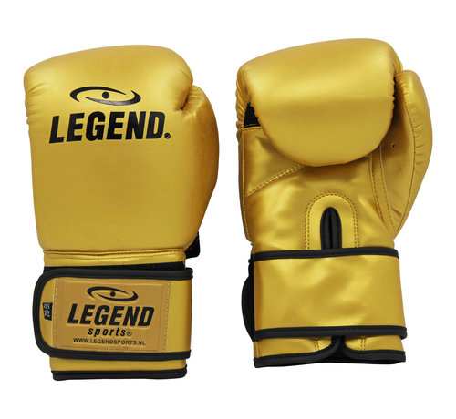 Legend bokshandschoenen  goud Protect en Power