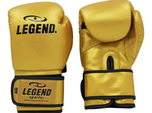 Legend Bokshandschoenen  goud Protect en Power