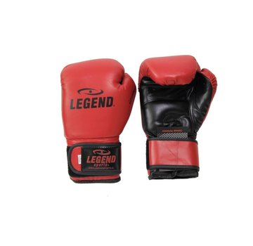 Legend Bokshandschoenen Bordeaux Protect en Power
