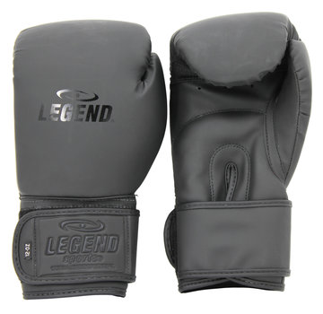 Legend bokshandschoenen  zwart - mat Protect en Power