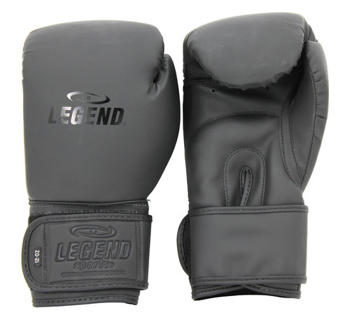 Legend bokshandschoenen  zwart - mat Protect en Power