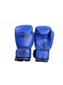 Legend bokshandschoenen  Blauw Protect en Power