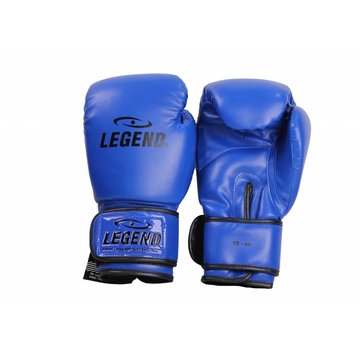 Legend bokshandschoenen  Blauw Protect en Power