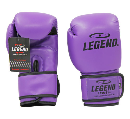 Legend bokshandschoenen  Paars Protect en Power