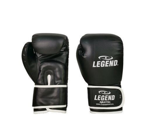 Legend bokshandschoenen  Zwart Protect en Power