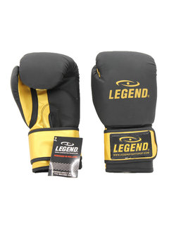 Legend bokshandschoenen  Dry & Protect zwart - mat/Goud