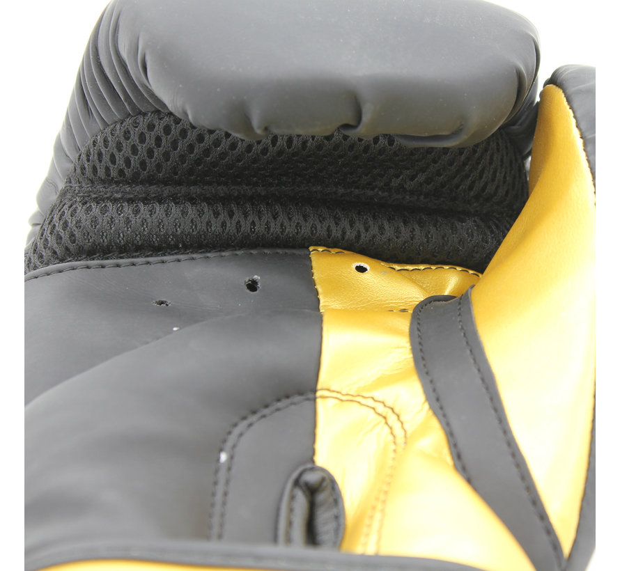 bokshandschoenen  Dry & Protect zwart - mat/Goud