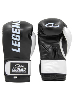 Legend bokshandschoenen  Impact Protect zwart/wit