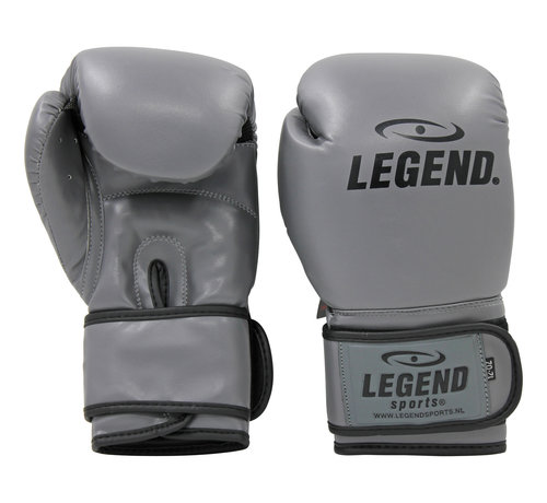 Legend bokshandschoenen  Clima & Protect Grijs