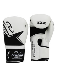 Legend Bokshandschoenen Legend EcoFIT Wit