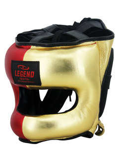 Legend Hoofdbeschermer + Neusbeschermer LIM Golden Boy