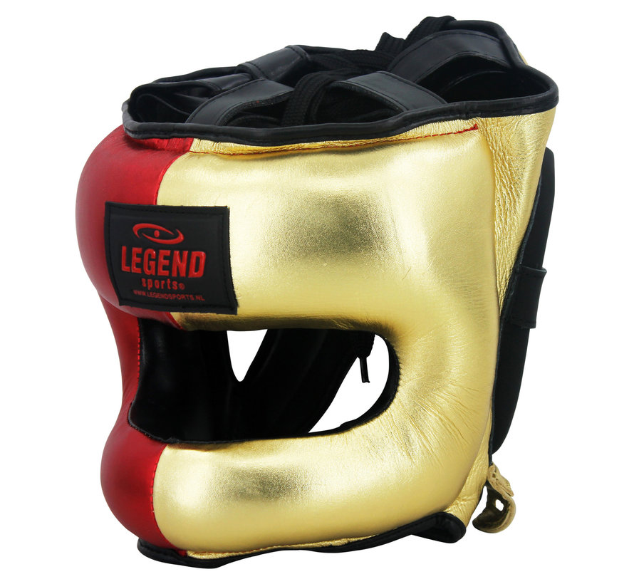 Hoofdbeschermer + Neusbeschermer LIM goud Boy