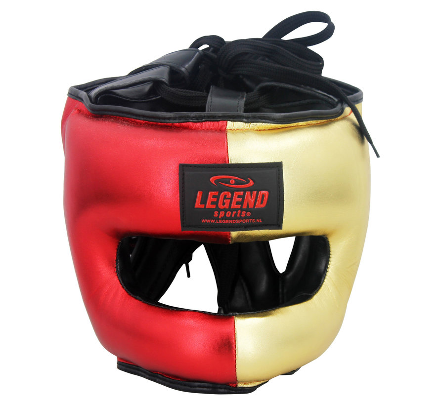 Hoofdbeschermer + Neusbeschermer LIM goud Boy