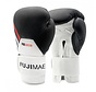 ProSeries 2.0 Leather Boxing Gloves