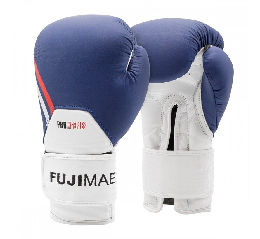 ProSeries 2.0 Leather Boxing Gloves