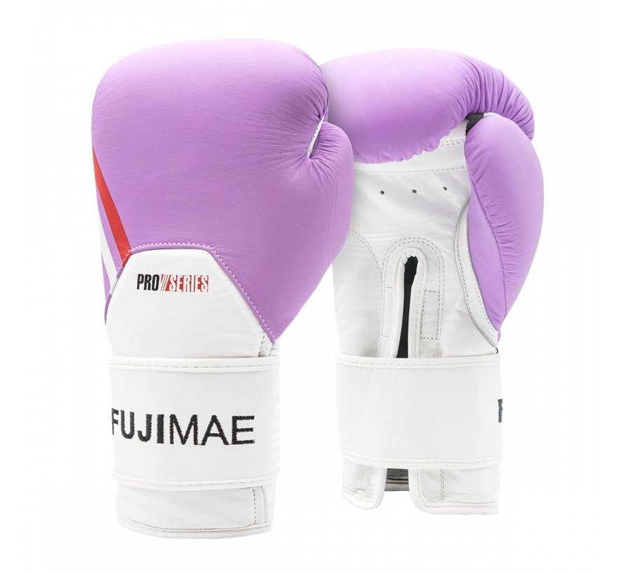 ProSeries 2.0 Leather Boxing Gloves