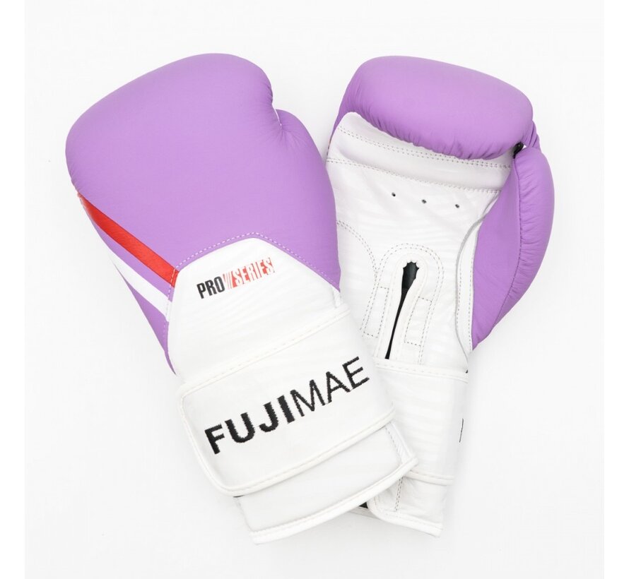 ProSeries 2.0 Leather Boxing Gloves