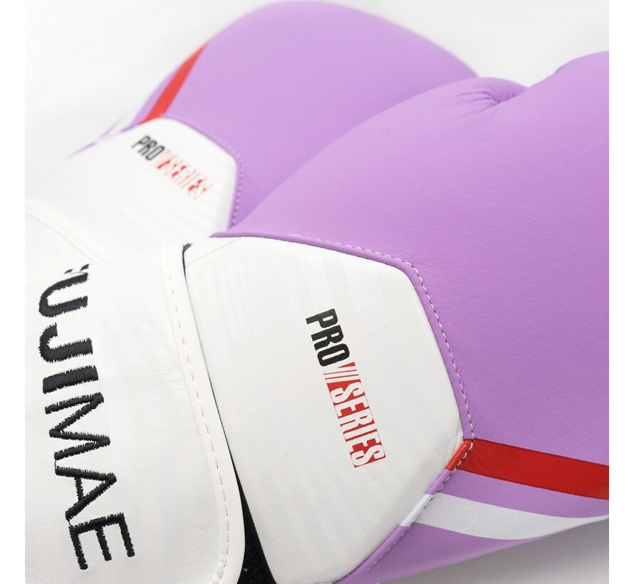 ProSeries 2.0 Leather Boxing Gloves