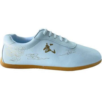 Phoenix Lederen vechtsportschoenen wit - Maat 43 - OP=OP