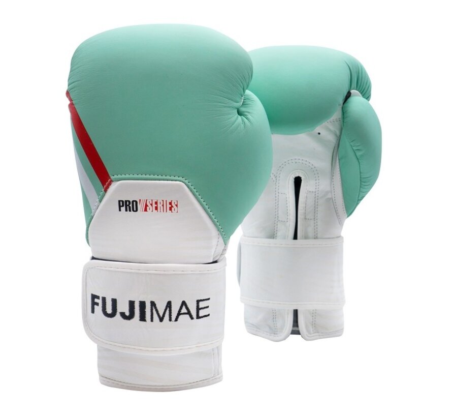 ProSeries 2.0 Leather Boxing Gloves