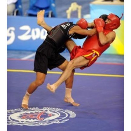 Sanda - Chinees Kickboksen