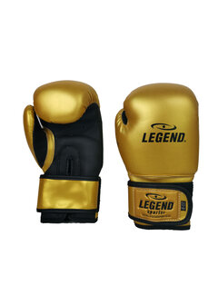 Legend Sports 4-8 jaar Bokshandschoenen kind Goud/mat zwart