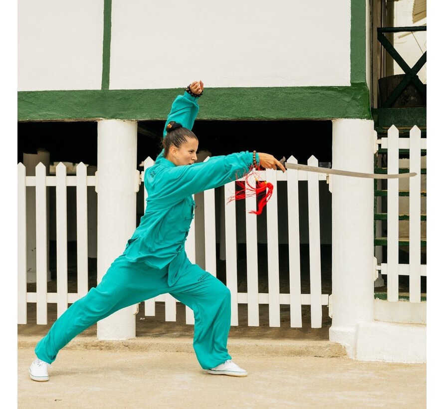 Semi flexibel tai chi zwaard