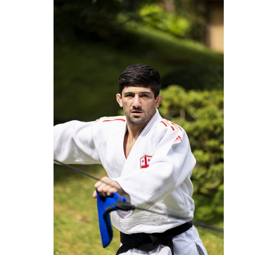 Judo Uchi Komi trainer set