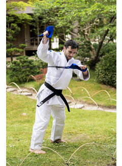 Phoenix Judo Uchi Komi trainer set