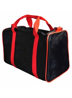 Phoenix Sporttas ca. 48x23x28 cm