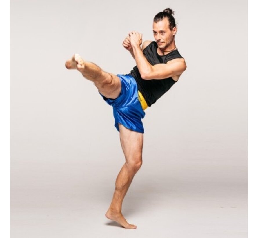 Training Sanda Shorts