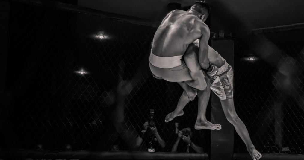 *Wedden op UFC en MMA: Knokken en gokken