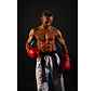 Fight 2B Fit coaching programma