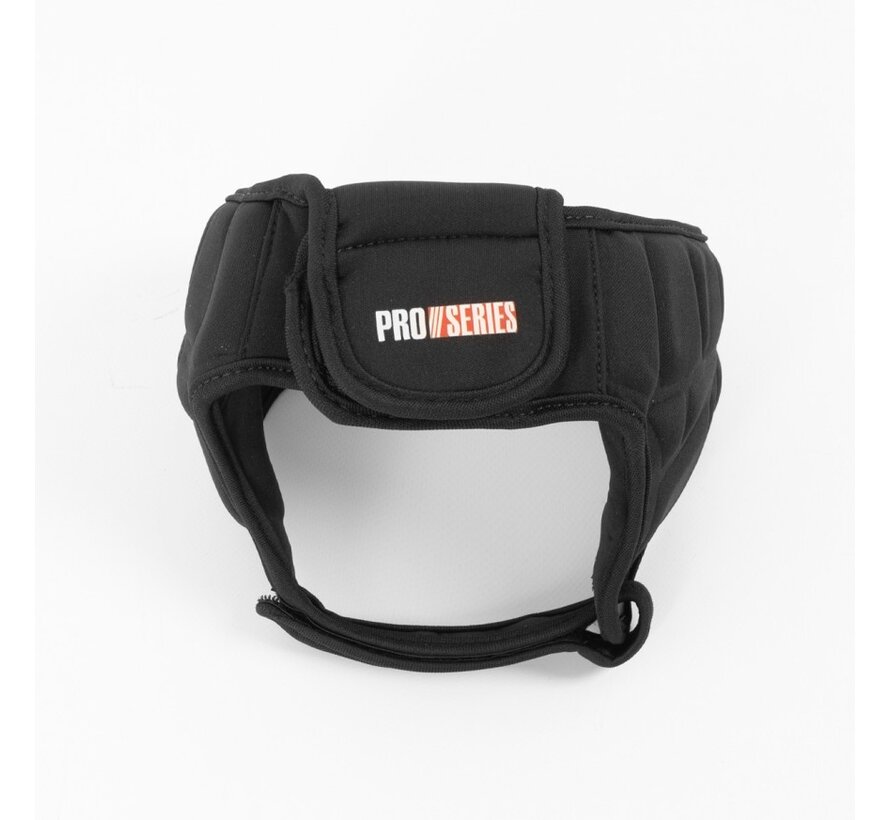 ProSeries 3.0 Oor beschermer