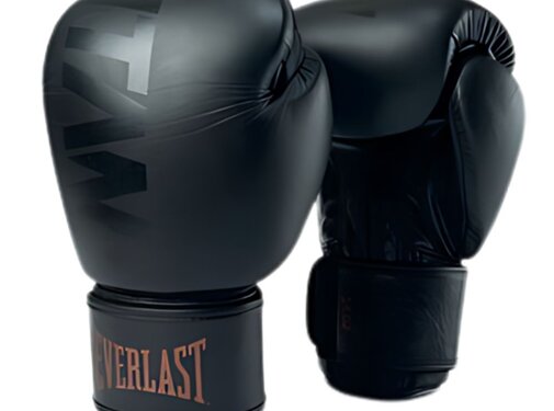 Everlast Everlast Titan Muay Thai Handschoenen | Zwart | 14-oz