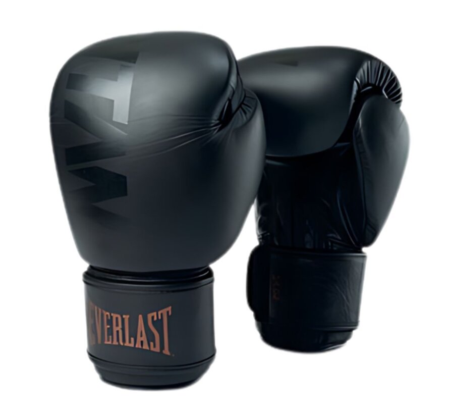 Everlast Titan Muay Thai Handschoenen | Zwart | 14-oz