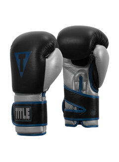 Title Title Bokshandschoenen Platinum Perilous Training 12 oz, zwart - zilver