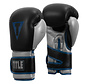 Title Bokshandschoenen Platinum Perilous Training 12 oz, zwart - zilver