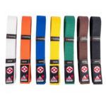 (Kyokushinkai) Karate banden