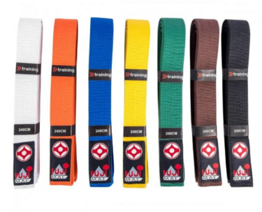 (Kyokushinkai) Karate banden