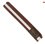 Vechtsport banden met streep / slip