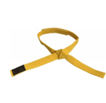 Kinder vechtsport banden