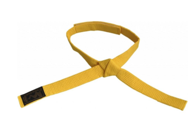 Kinder vechtsport banden