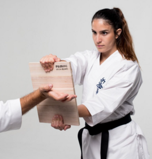 Kyokushinkai Karate breekplanken