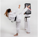 Kyokushinkai Karate trapkussens