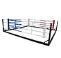Floor boxing ring 6x6 m (ropes 5x5)