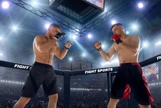 MMA buiten de kooi: inzicht in gevechten, strategie en fanbeleving